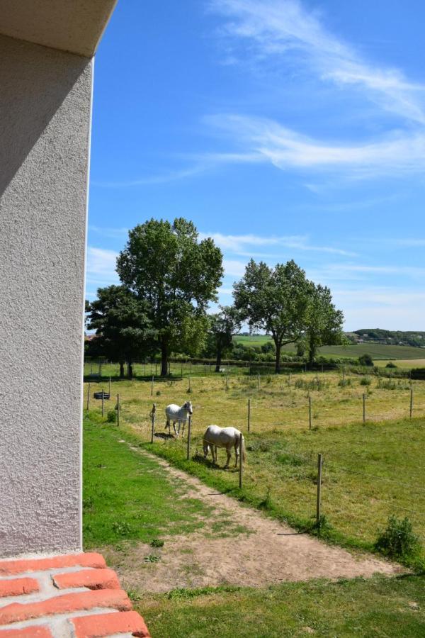 Le Clos De L'Angley Gites Et Ecurie Caffiers المظهر الخارجي الصورة