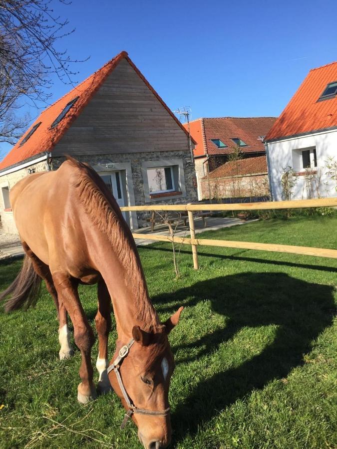 Le Clos De L'Angley Gites Et Ecurie Caffiers المظهر الخارجي الصورة