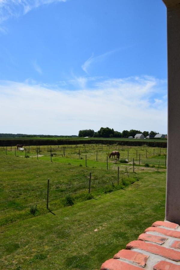 Le Clos De L'Angley Gites Et Ecurie Caffiers المظهر الخارجي الصورة
